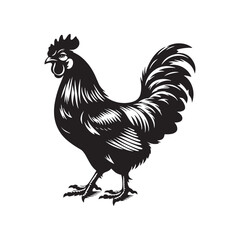 Stylish hen silhouette for modern print and digital projects - Hen black vector
