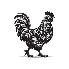 Creative hen silhouette for modern artistic applications - Hen black vector
