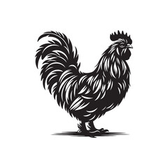 Hen silhouette for versatile creative design projects - Hen black vector
