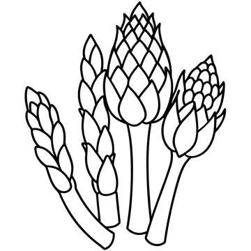 black and white asparagus stalks clip art preview