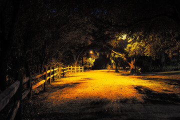 pathway at night
