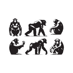 Stylish chimpanzee silhouette for unique digital designs - Chimpanzee black vector
