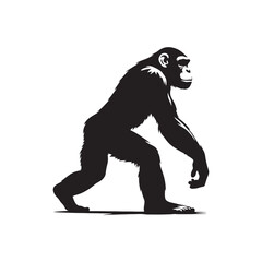 Captivating chimpanzee silhouette for various design uses - Chimpanzee black vector
