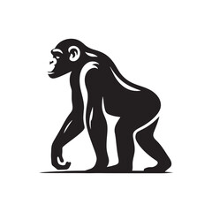 Obraz premium Unique chimpanzee silhouette for creative media applications - Chimpanzee illustration - minimallest chimpanzee vector 