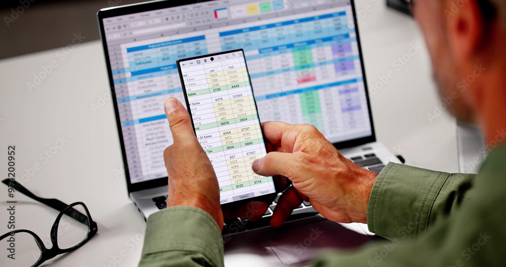 Leinwandbilder Spreadsheet Data Analyst Using Computer Software