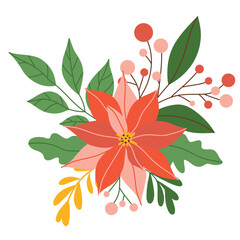 Winter red poinsettia flower with leaves and berries, christmas star isolated on white background. Vector illustration, flat style