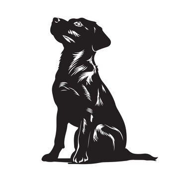 recommend clip art: Dog silhouette collection vector. Dog in various poses and activities like jumping, sitting, running, playing, and standing. Silhouette black puppies, pet dog vector isolated on a white background