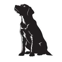 Dog silhouette collection vector. Dog in various poses and activities like jumping, sitting, running, playing, and standing. Silhouette black puppies, pet dog vector isolated on a white background