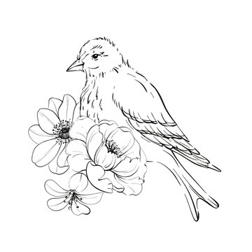 recommend clip art: Victorian beard and roses, springtime composition. flowers botanical clip art. Romantic anemone and peony. For greeting cards, wedding, fabric, printing. Graphic vector line, hand drawn, black