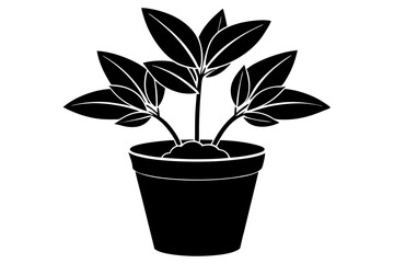 Potted Plant Silhouette Vector Art, Icons, potted plant illustration