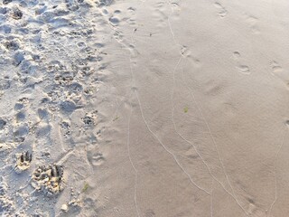 ripples in the sand