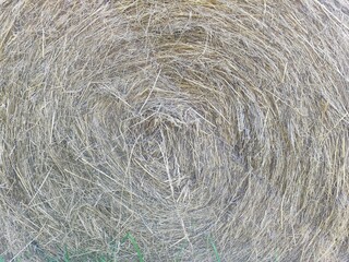 hay bale