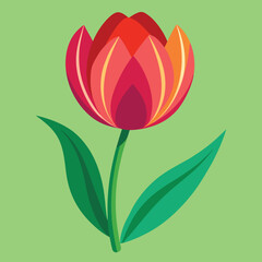 illustration of tulip