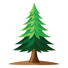 pine tree isolated