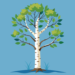 tree with leaves birch