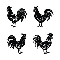 rooster and hens
