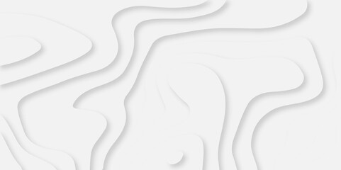 Abstract white paper cut background with lines. Background of the topographic map. White wave paper curved reliefs abstract background. Realistic papercut decoration textured with wavy layers.