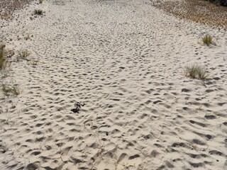 pattern on sand