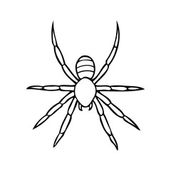 spider line vector illustration