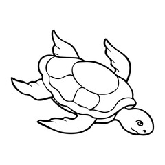 turtle line vector illustration