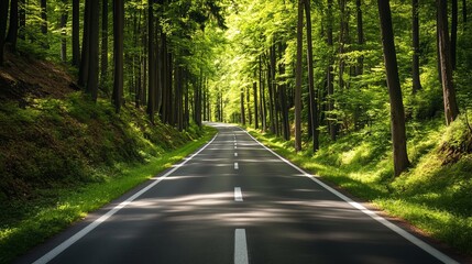 Obraz premium Drive along a scenic mountain road in Europe with lush green views. A car journeys through a picturesque forest in Bavaria, Germany.