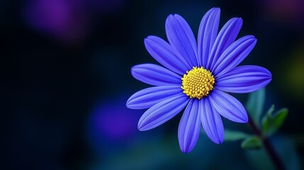 Fototapeta premium A tight shot of a blue bloom featuring a yellow core, encircled by a verdant stem