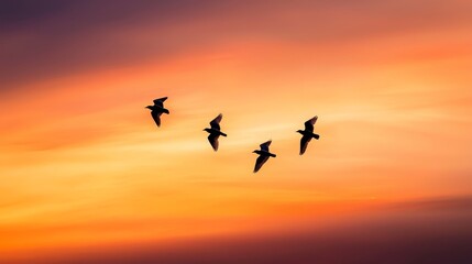 Obraz premium A flock of birds in flight against a pink and orange sunset or dawn sky
