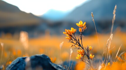 Obraz premium A tight shot of a plant boasting yellow blooms in the foreground against a backdrop of towering mountain ranges