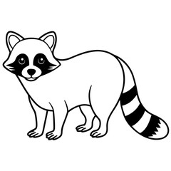 raccoon vector animal illustration