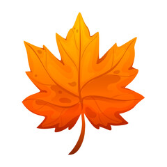 Orange autumn leaf. Maple leaf on isolated white background. Leaf cartoon. Vector illustration.