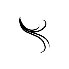 hairline illustration