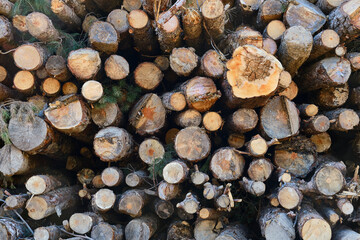 Natural wooden background,closeup of chopped firewood. Firewood stacked