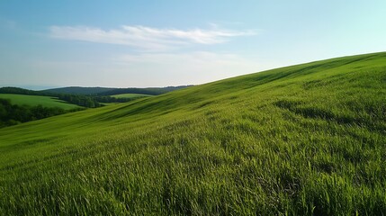 Rolling Green Hills Landscape