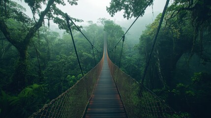 Fototapeta premium Enchanting Suspension Bridge in Lush Rainforest Canopy