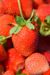 A close-up of a pile of freshly picked strawberries
