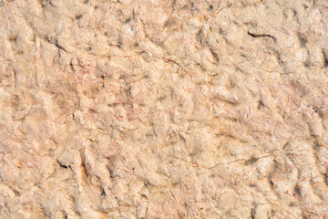 Detail of a stone paving slab