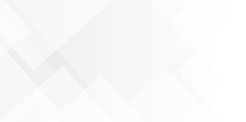 White and gray overlap triangle geometric technology pattern. minimal rectangle randomly arranged white lines transparent background layers overlapping presentation design.