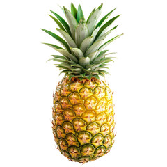 Fototapeta premium A whole pineapple isolated in transparent background