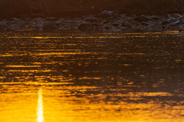 Sunset over the Orange river, on the border between Namibia and South Africa.