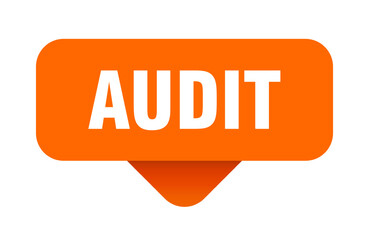 AUDIT