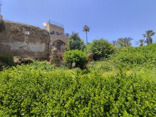 Fototapeta premium israel, vacation, travel, bazaar, spices, counters, sweets, antiquity, architecture, monument, ancient, walls, fortress, alleys, streets, pavement, people, merchants, tourists, gates, signs, design