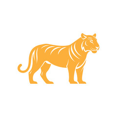 A tiger standing in front of a white background, with a black stripe on its.