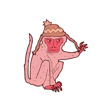 cartoon monkey wearing hat