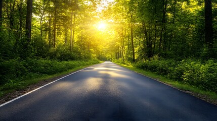 Obraz premium A long, straight road winds through a forest, with the sun shining brightly through the trees.
