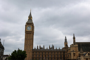 Obraz premium Palace of Westminster, The Houses of Parliament, houses the two houses of the Parliament of the United Kingdom (the House of Lords and the House of Commons). London.