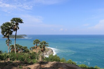 Fototapeta premium palm trees on the beach
