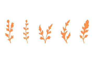Botanical flower design set. Decorative floral icon