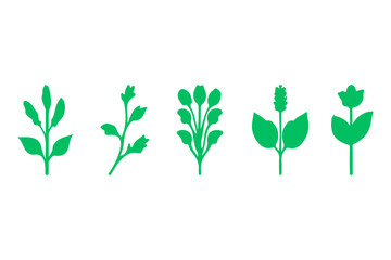 Botanical flower design set. Decorative floral icon