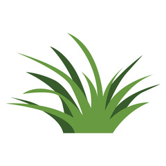 cute grass illustration transparent background