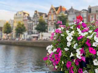 Amsterdam downtown cityscape, canal bridge, decorated with flowers, old houses on bokeh background at sunset in summer. Travel to famous city of Europe Amsterdam, Holland, Netherlands